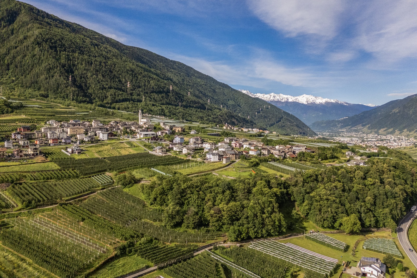 Inaugurato Il Primo Sentiero Dei Campioni Coniugare Sport Natura E