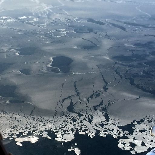 Perchè in Antartide c’è stato un caldo record