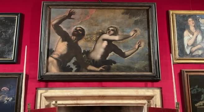 La scienza, Tintoretto e gli unicorni: meraviglie a Palazzo Grimani