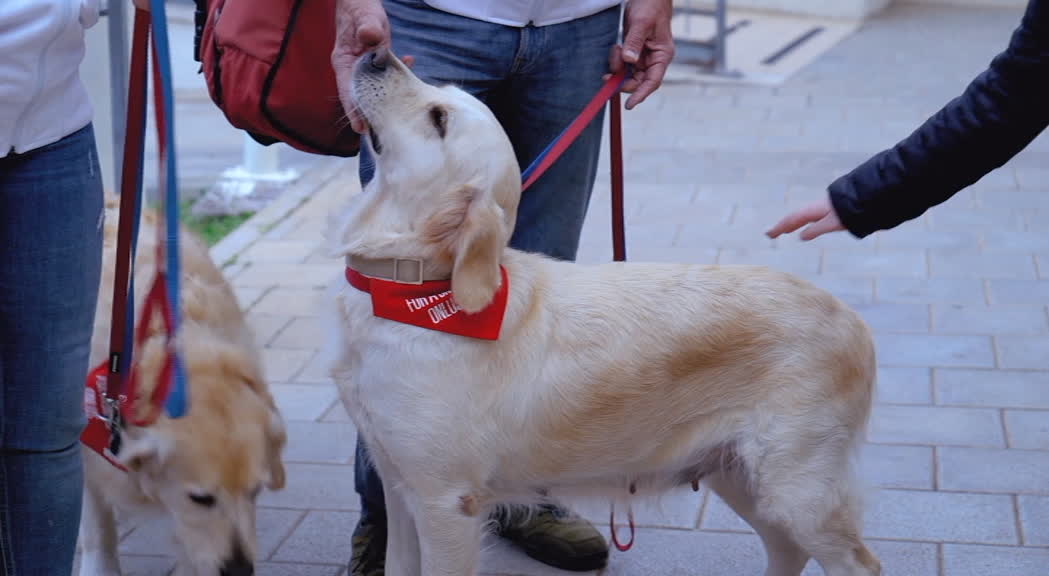 Una campagna per donare Dog Pet Therapy negli ospedali pediatrici