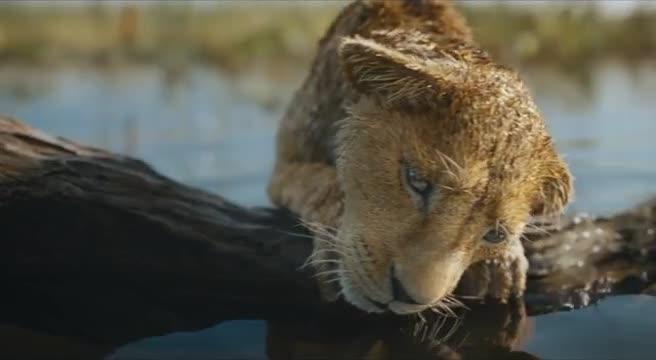 Nei cinema il film Disney di Natale "Mufasa: Il Re Leone"