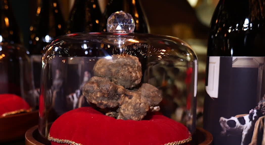 Gran Galà del Tartufo, a Bari celebrato il Re della cucina