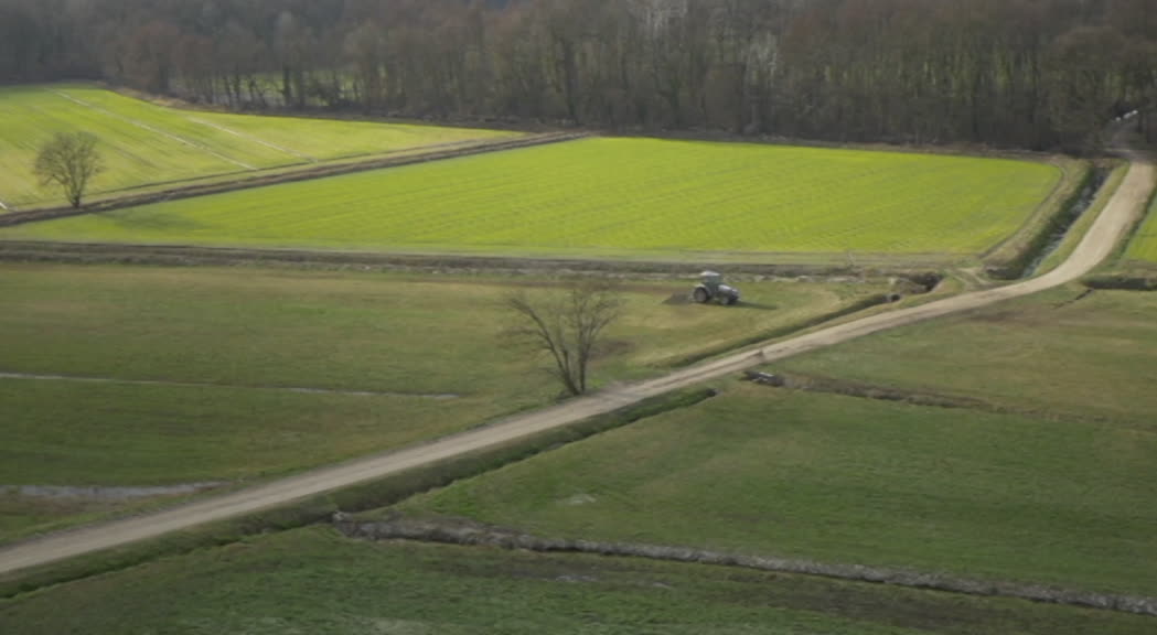 Bureau Veritas scende in campo con i consumatori