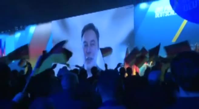 Musk interviene a raduno AfD: "Voi migliore speranza per la Germania"